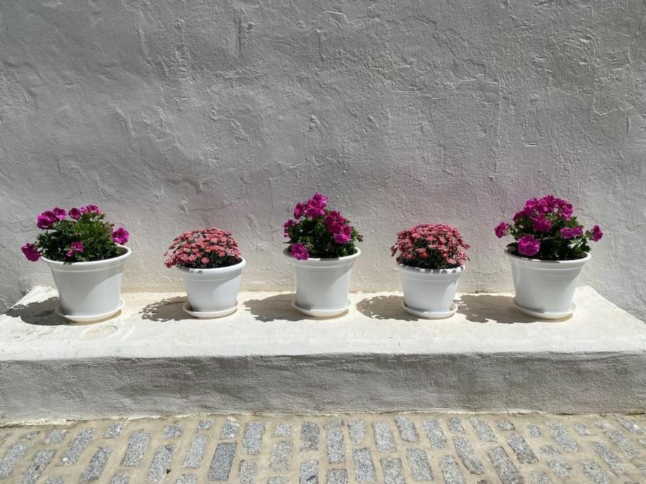 Villa Casa Galeria La Retinta Vejer de la Frontera Exterior foto